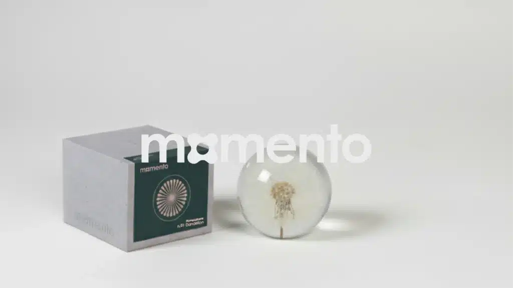 Momento