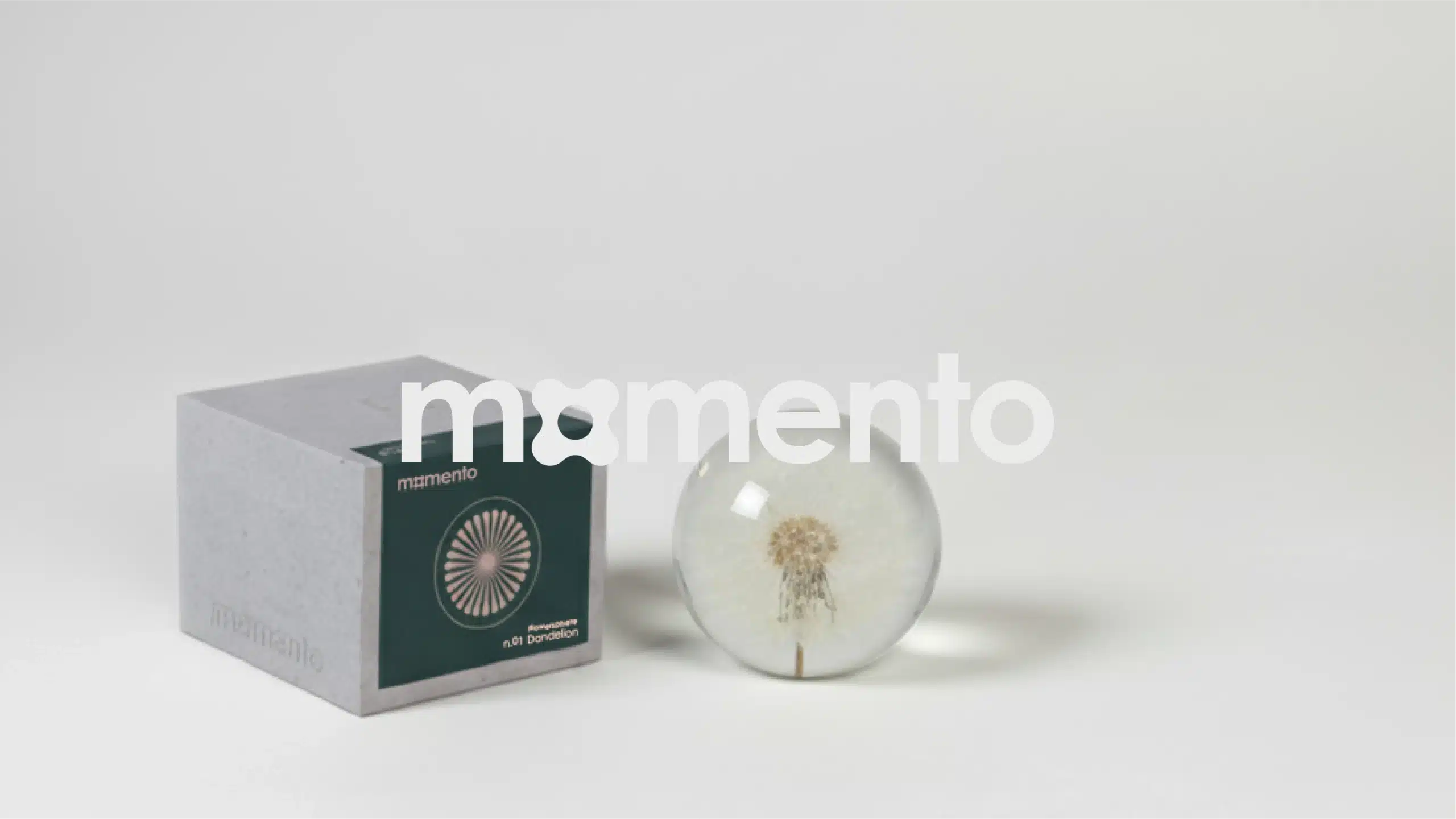 Il nostro nuovo house brand “Momento”